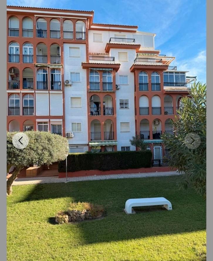 Torrevieja : Topper, 1 chambre au rez-de-chaussée, terrasse, Immo, Étranger, Espagne, Appartement