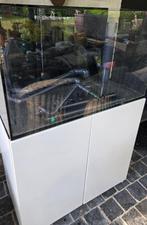 red sea max 250, Dieren en Toebehoren, Vissen | Aquaria en Toebehoren, Ophalen, Gebruikt, Leeg aquarium
