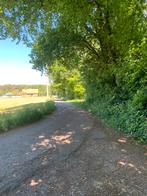 Te koop +/- 1 Ha bosgrond te Lanaken, Verkoop zonder makelaar, 1500 m² of meer