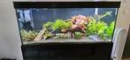 Aqualantis fusion 150 zwart, Ophalen of Verzenden, Zo goed als nieuw, Leeg aquarium