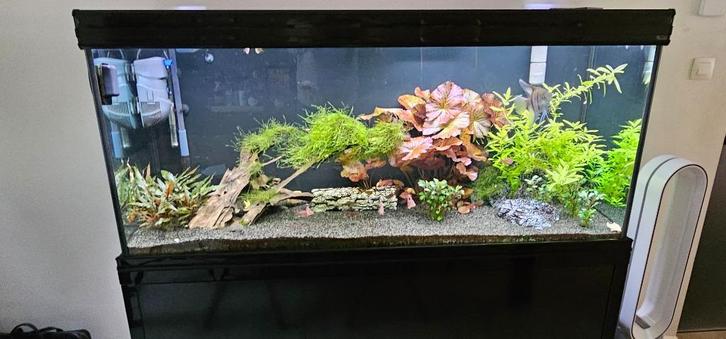 Aqualantis fusion 150 zwart, Dieren en Toebehoren, Vissen | Aquaria en Toebehoren, Zo goed als nieuw, Leeg aquarium, Ophalen of Verzenden