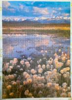 puzzle 1000 pièces, Hobby & Loisirs créatifs, Sport cérébral & Puzzles, Enlèvement ou Envoi, 500 à 1500 pièces, Comme neuf, Puzzle