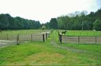 Stalling te huur, Dieren en Toebehoren, Stalling en Weidegang, Weidegang, 1 paard of pony