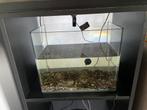 Aqua della 21,5L nano aquarium Nieuw, Enlèvement, Comme neuf