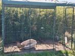 Omlet grote Ren voor konijnen, Ophalen, 110 cm of meer, Zo goed als nieuw, 90 cm of meer