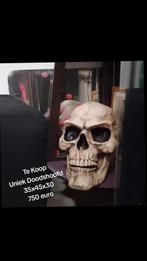 Doodshoofd groot, Antiek en Kunst, Ophalen