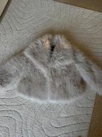 Winterjas van Zara, Kleding | Dames, Ophalen