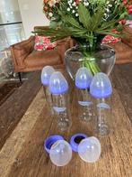 Papflessen glas Lansinoh 240 ml - 4 stuks, Ophalen, Gebruikt, Overige typen