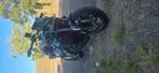Yamaha mt09 A2, Motoren, Motoren | Yamaha, Particulier