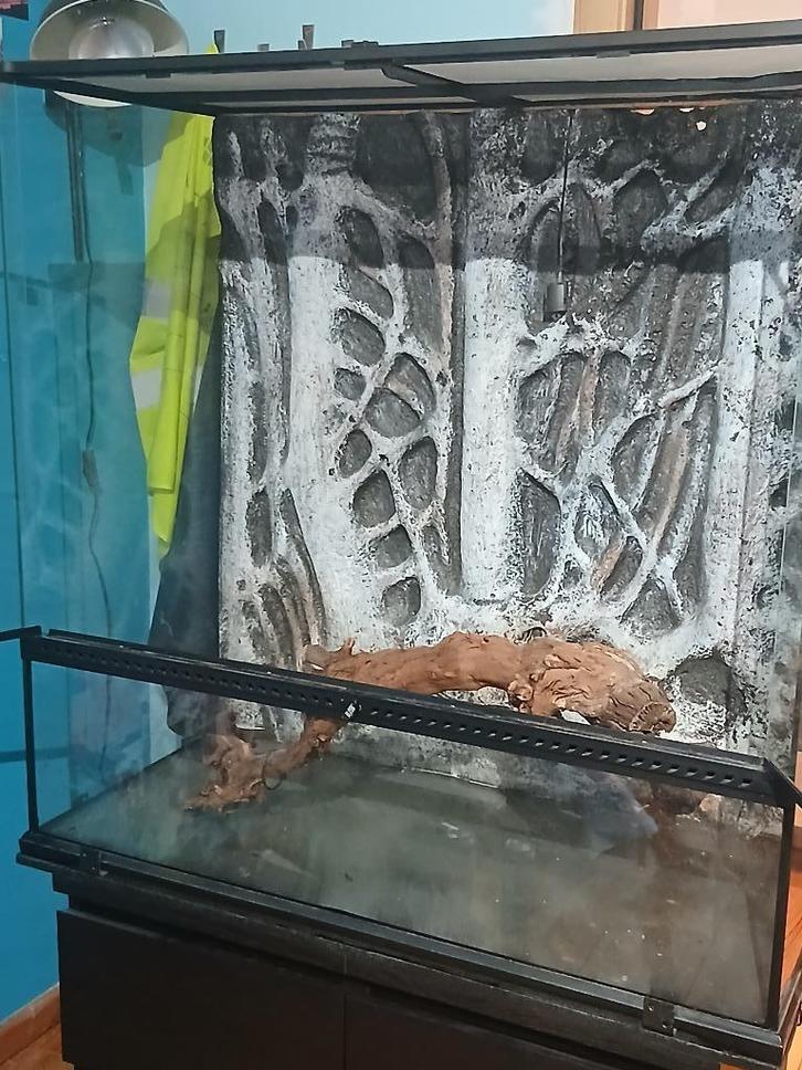 Terrarium en toebehoren, Dieren en Toebehoren, Reptielen en Amfibieën | Toebehoren, Gebruikt, Terrarium of Paludarium, Ophalen