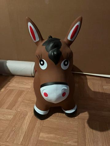 Skippy paard beschikbaar voor biedingen