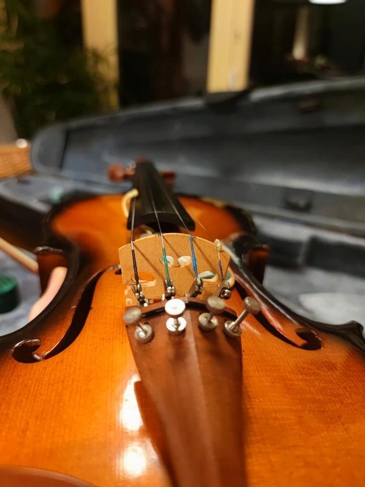 4/4 viool Omebo RV-305A, Muziek en Instrumenten, Strijkinstrumenten | Violen en Altviolen, Zo goed als nieuw, Viool, Ophalen of Verzenden