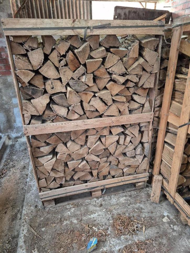 bois de chauffage en hêtre extra sec, Jardin & Terrasse, Bois de chauffage, Bûches, Hêtre, Moins de 3 m³, Enlèvement