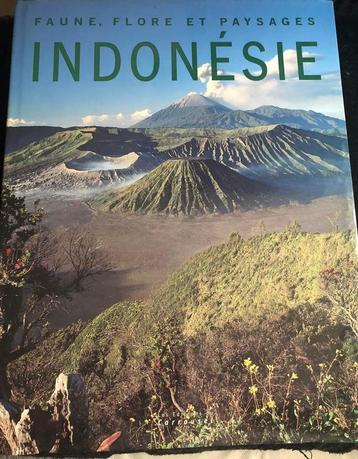 Indonésie: faune, flore et paysages. beschikbaar voor biedingen
