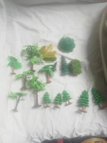 Miniatuursparren beschikbaar voor biedingen