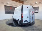 Renault Trafic L2H2 Lift, 167 g/km, Achat, Euro 6, Entreprise