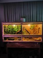 Ingericht Terrarium 120cm, Ophalen, Zo goed als nieuw