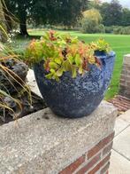 bloempot blauw, Ophalen, Rond, Aardewerk