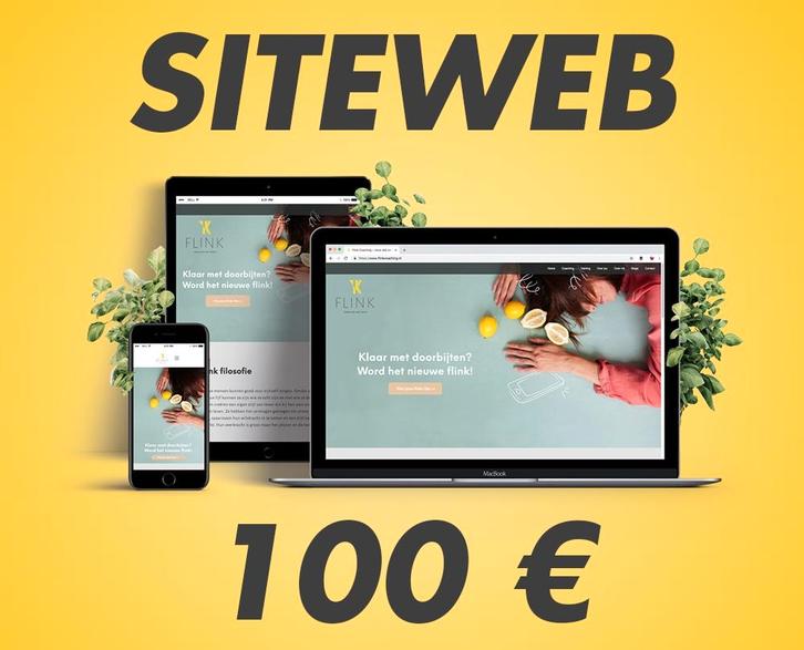 Site Internet 100 euro, Computers en Software, Navigatiesoftware, Nieuw, Update, Ophalen