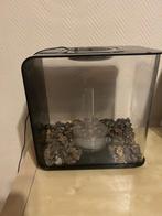 Aquarium, Dieren en Toebehoren, Vissen | Aquaria en Toebehoren, Ophalen, Zo goed als nieuw, Leeg aquarium