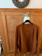 Prachtige trui, Ophalen of Verzenden, Zo goed als nieuw