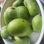 Rijpe paw paw pawpaw asimina triloba vruchten, Ophalen