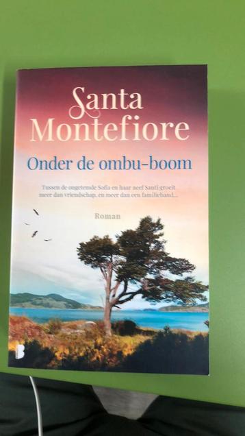Santa Montefiore - Onder de ombu-boom, Boeken, Ophalen of Verzenden, Zo goed als nieuw, Santa Montefiore