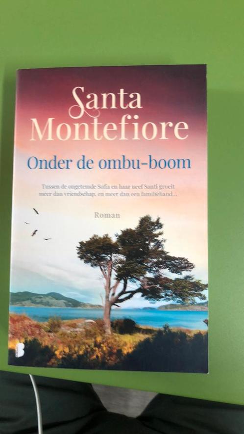 Santa Montefiore - Onder de ombu-boom, Boeken, Literatuur, Zo goed als nieuw, Ophalen of Verzenden