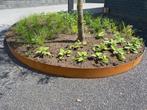 gazonrand cortenstaal, Tuin en Terras, Bielzen en Borduren, Ophalen, Nieuw, 100 tot 200 cm, Minder dan 25 cm