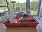 Kooi voor hamster., Dieren en Toebehoren, Knaagdieren en Konijnen | Hokken en Kooien, Ophalen, Gebruikt, Kooi, Hamster