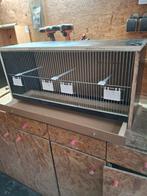 Nieuw vogelkooi, Enlèvement, Neuf, Bois, Cage à oiseaux