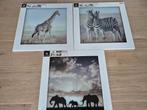 3 fotokaders Afrika - giraf/olifanten/zebra's, Audio, Tv en Foto, Fotografie | Fotolijsten, Ophalen, Nieuw