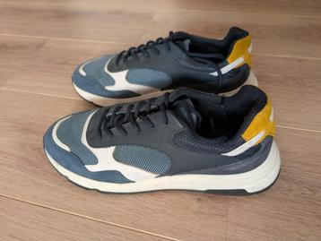 Hogan shoes 43 beschikbaar voor biedingen