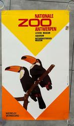 Oude affiche zoo, Verzamelen, Posters, Rechthoekig Staand, Deurposter of groter, Ophalen of Verzenden, Zo goed als nieuw