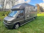 Fiat Ducato Maxi 18 2.8 ID 598-140 1999 Bogie à chevaux, Autos, Euro 2, Achat, Entreprise, Autres carburants