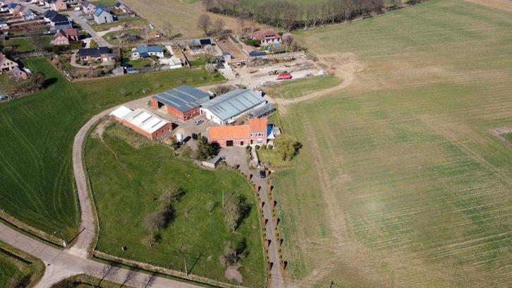 Te huur: paardenweide, Meerhout, Animaux & Accessoires, Chevaux