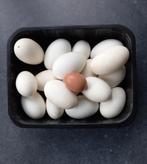 Uitgeblazen ganze-eieren, Zo goed als nieuw, Ophalen