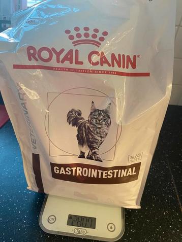 Eten poes ( met maag problemen ) beschikbaar voor biedingen