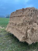 Grote pakken hooi, Dieren en Toebehoren, Ophalen