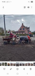 Koets, Dieren en Toebehoren, Rijtuigen en Koetsen, Gebruikt, Paard of Pony