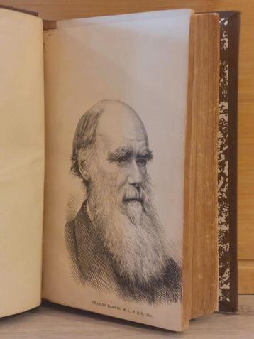 Darwin ~ Journal of researches H.M.S. Beagle ~ 1871 beschikbaar voor biedingen