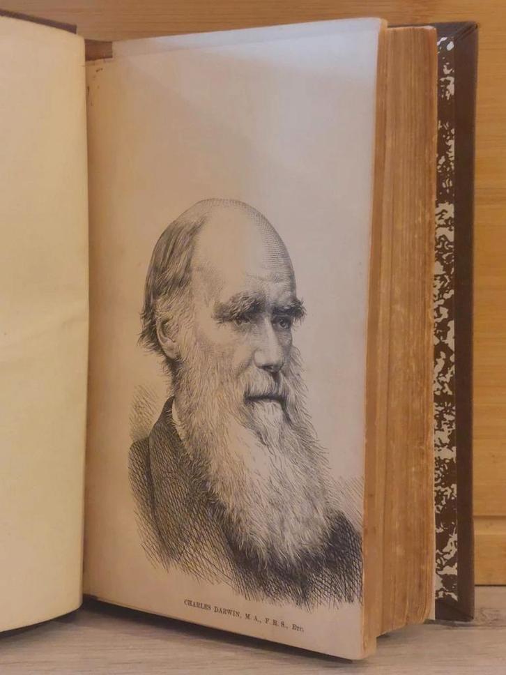 Darwin ~ Journal of researches H.M.S. Beagle ~ 1871, Antiek en Kunst, Antiek | Boeken en Manuscripten, Ophalen of Verzenden