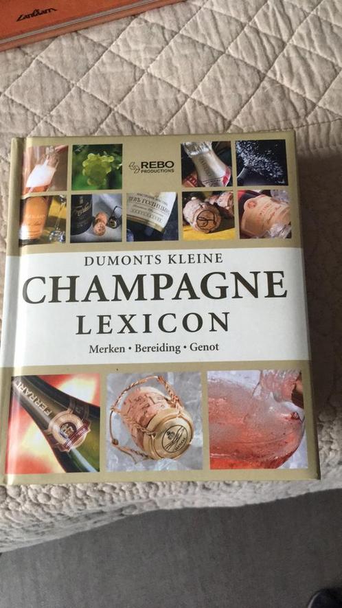 T. Pehle - Dumonts kleine Champagne lexicon, Verzamelen, Wijnen, Zo goed als nieuw, Ophalen
