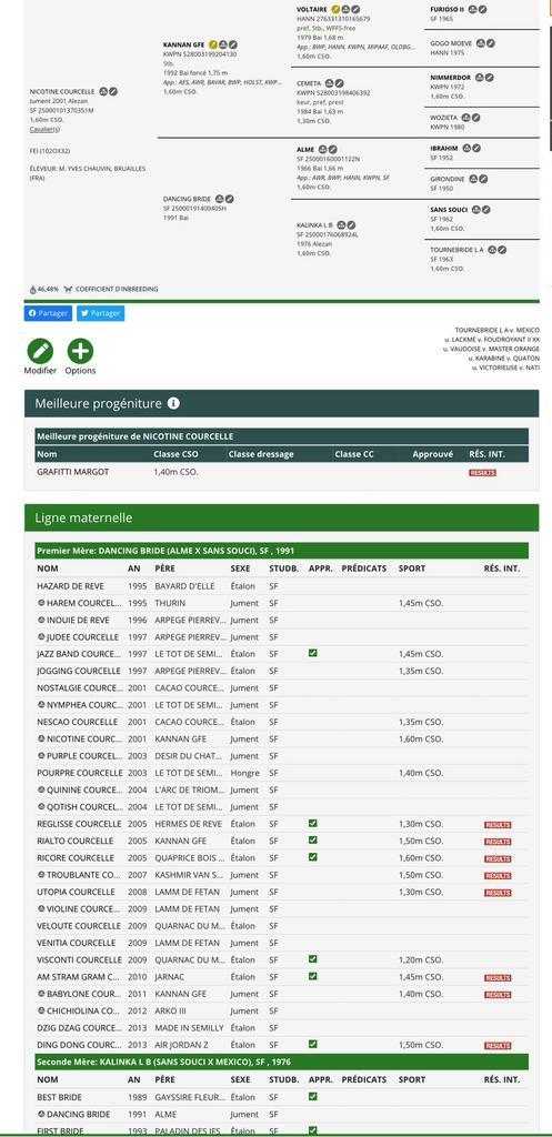 1m60 merrie uit top lijn, Dieren en Toebehoren, Paarden, Merrie, 165 tot 170 cm, 11 jaar of ouder, Springpaard