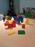 Duplo 529 dieren, Ophalen of Verzenden, Gebruikt