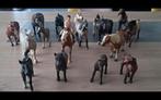Chevaux Schleich, Enlèvement ou Envoi, Comme neuf