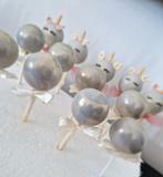 Cakepops & Cakesicles, Ophalen of Verzenden