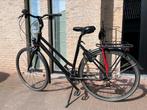 Damesfiets Batavus maat 53, Fietsen en Brommers, Ophalen, 28 inch, 53 tot 56 cm, Batavus