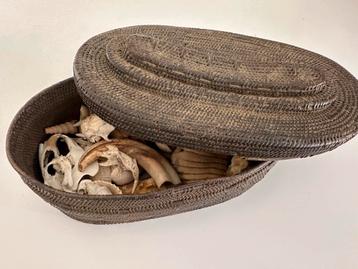Mayombé Nkisi orakelmand 1890 collectie antropoloog Congo beschikbaar voor biedingen