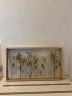Fotolijst met gedroogde bloemen, Huis en Inrichting, Woonaccessoires | Wanddecoraties, Ophalen